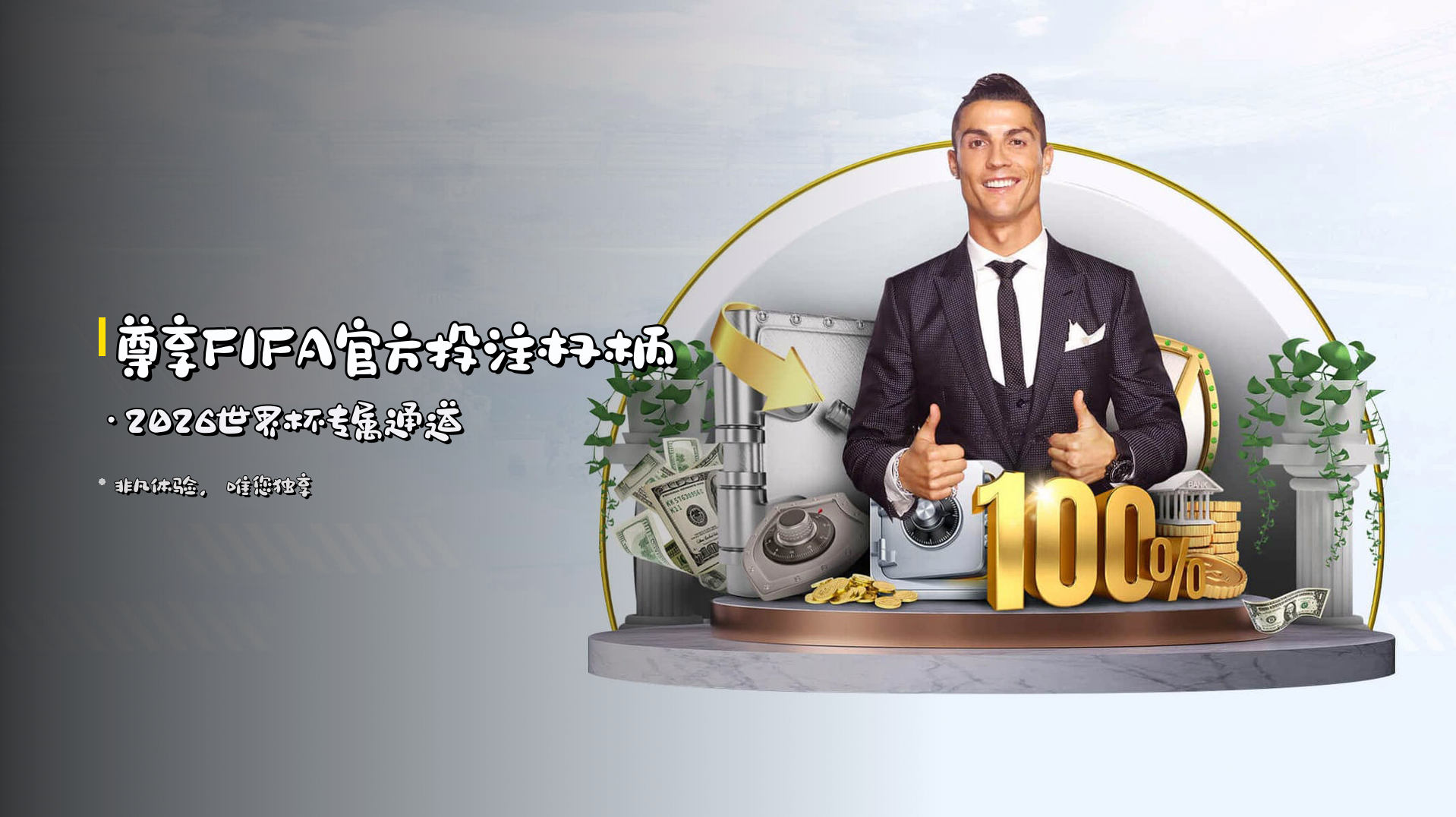 尊享FIFA官方投注权柄·2026世界杯专属通道